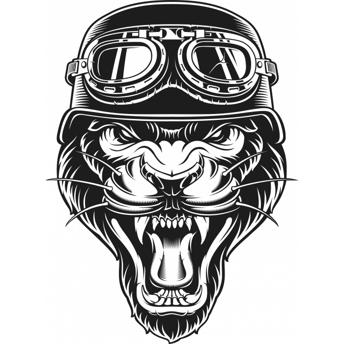 Aslan Sticker 10x10 cmRenkli Sticker