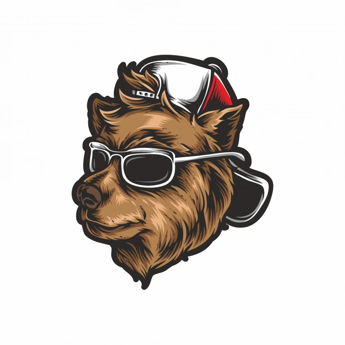 Güneş Gözlüklü Ayı Sticker 10x10 cmRenkli Sticker