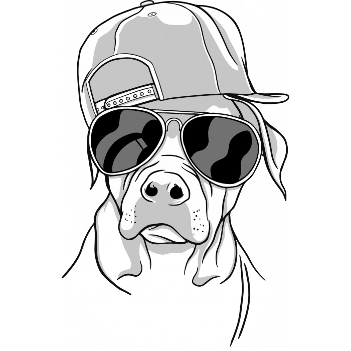 Güneş Gözlüklü Köpek Sticker 10x10 cmRenkli Sticker