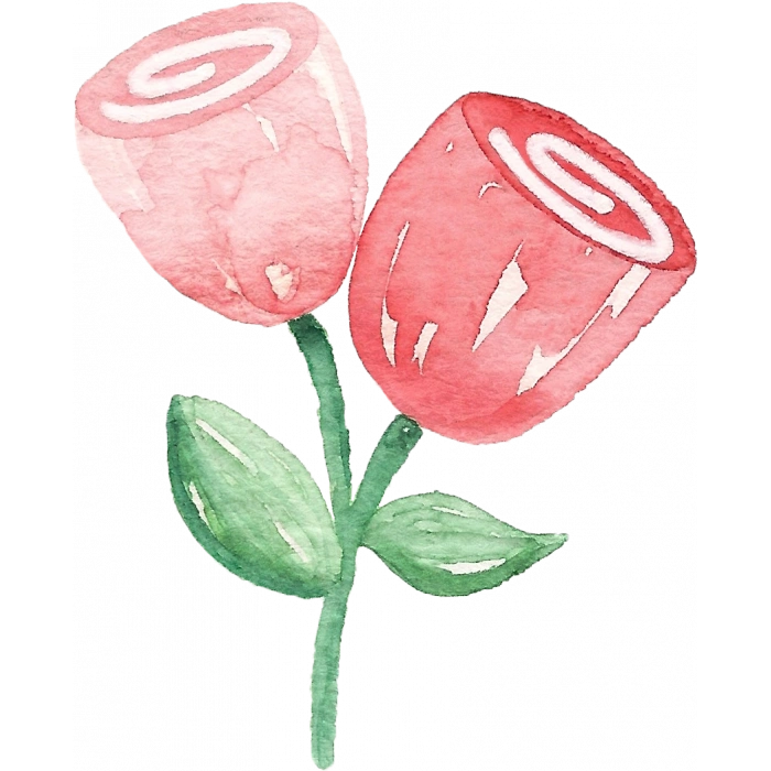 İki Gül Duvar Stickerı