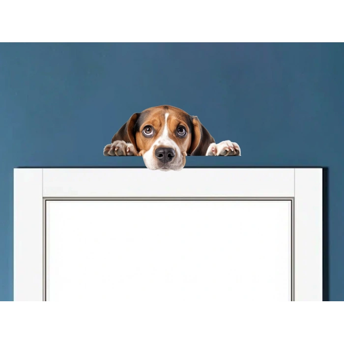 Kahverengi Beyaz Beagle Köpek Duvar Stickerı