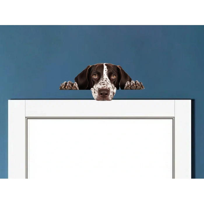Kahverengi Beyaz Benekli Kısa Tüylü Pointer Köpek Duvar Stickerı