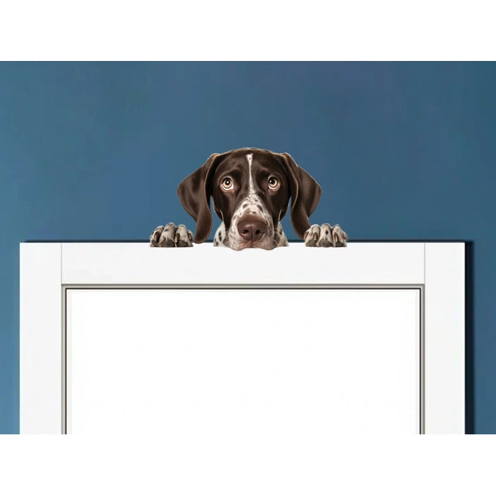 Kahverengi Beyaz Benekli Kısa Tüylü Pointer Köpek Duvar Stickerı