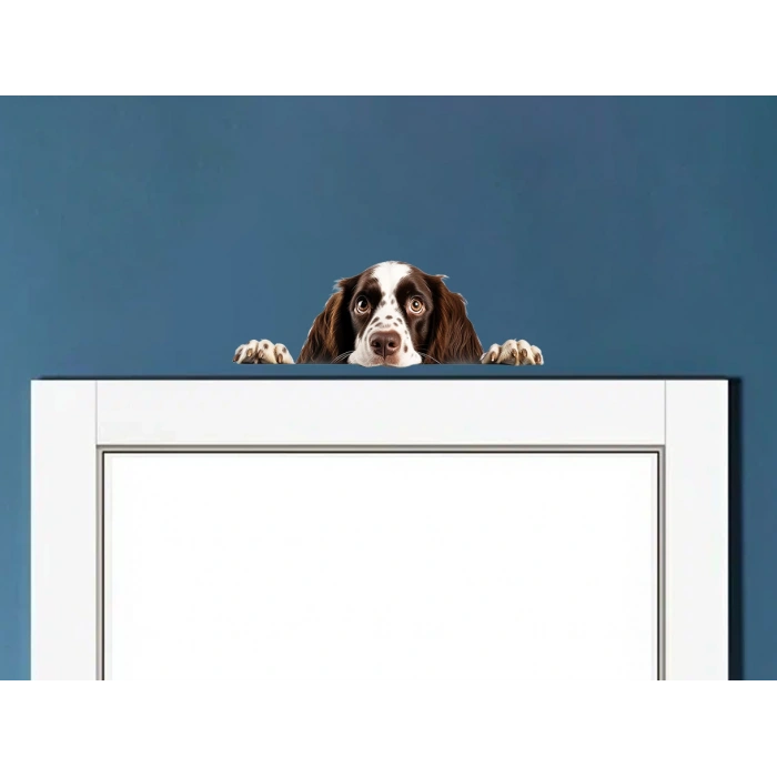 Kahverengi Beyaz Benekli Uzun Tüylü Springer Spaniel Köpek Duvar Stickerı