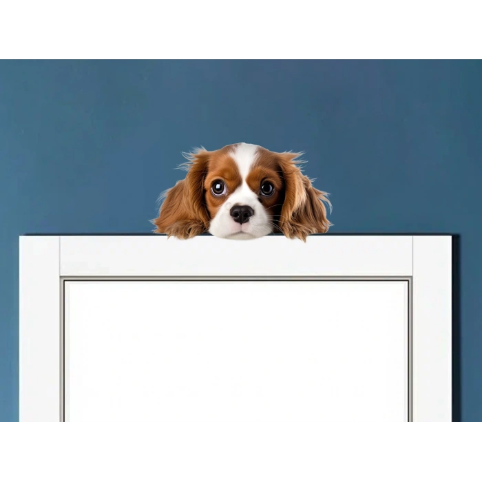 Kahverengi Beyaz Cavalier King Charles Spaniel Köpek Duvar Stickerı