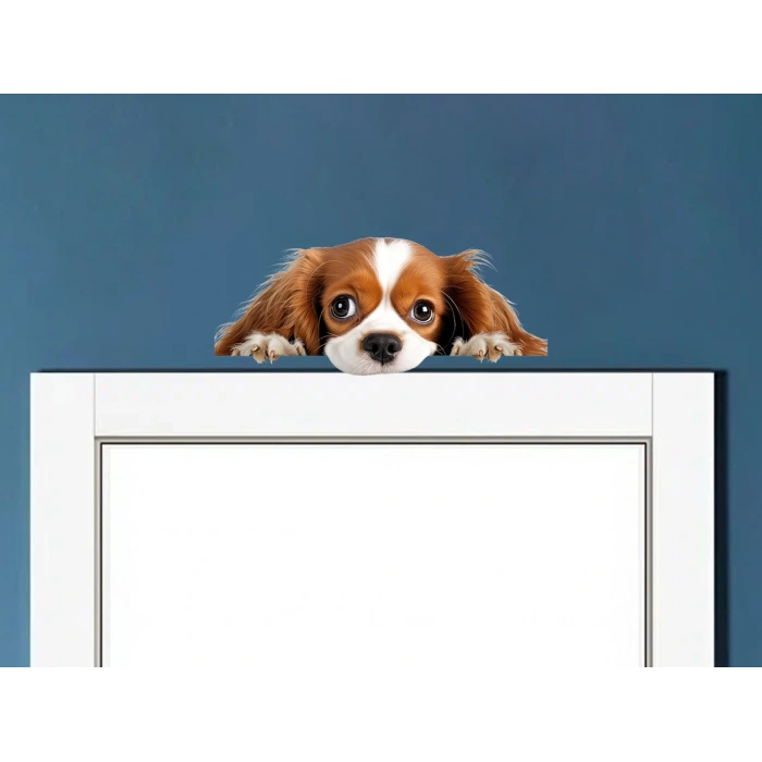 Kahverengi Beyaz Cavalier King Charles Spaniel Köpek Duvar Stickerı