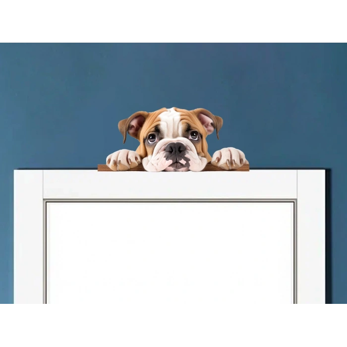 Kahverengi Beyaz İngiliz Bulldog Yavrusu Duvar Stickerı