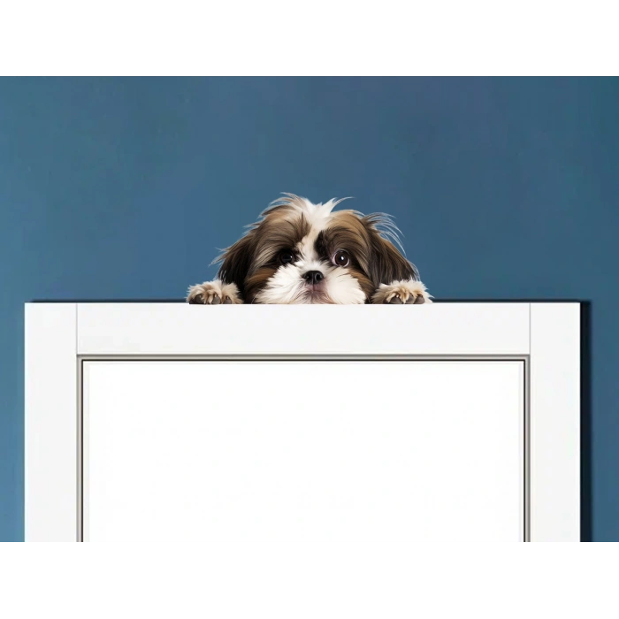 Kahverengi Beyaz Shih Tzu Köpek Duvar Stickerı