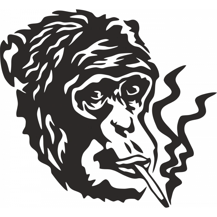 Goril Sticker 10x10 cmRenkli Sticker