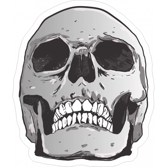 Kurukafa Sticker 5 10x10 cmRenkli Sticker