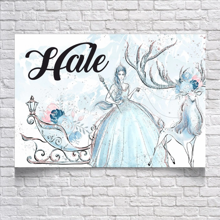 Karlar Kraliçesi Temalı Doğum Günü Afişi 100X150 cm