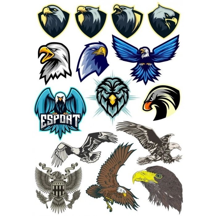 Kartal Eagle Sticker Set-2 15 Parça Telefon, Tablet, Defter, Laptop Sticker