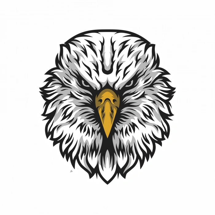 Kartal Sticker 10x10 cmRenkli Sticker