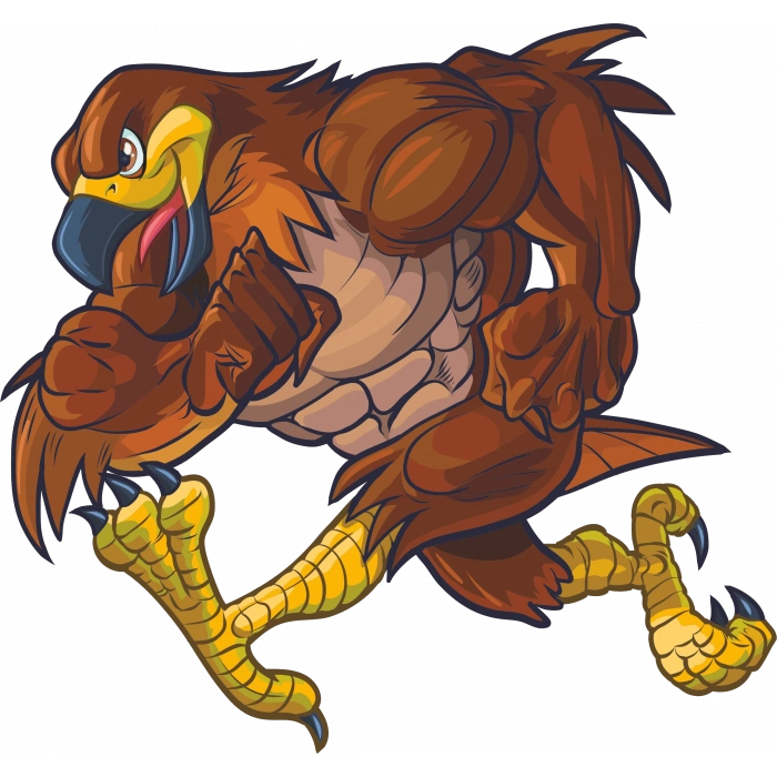 Kartal Sticker 10x10 cmRenkli Sticker