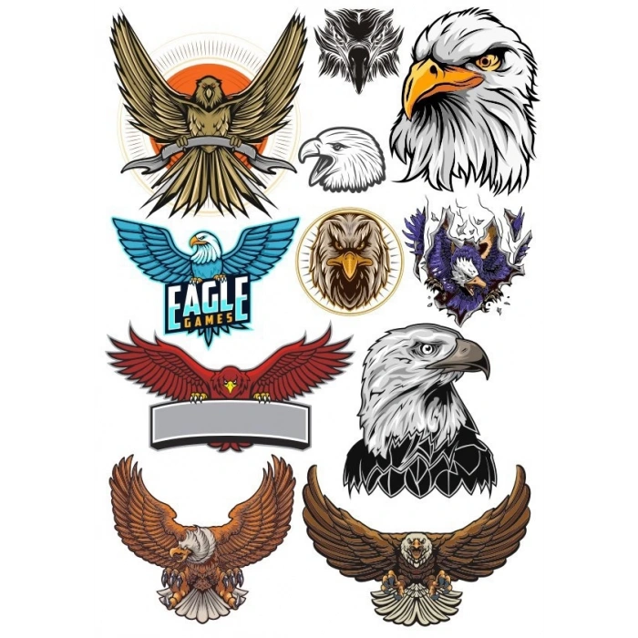 Kartal Sticker Set-2 11 Parça Telefon, Tablet, Defter, Laptop Sticker