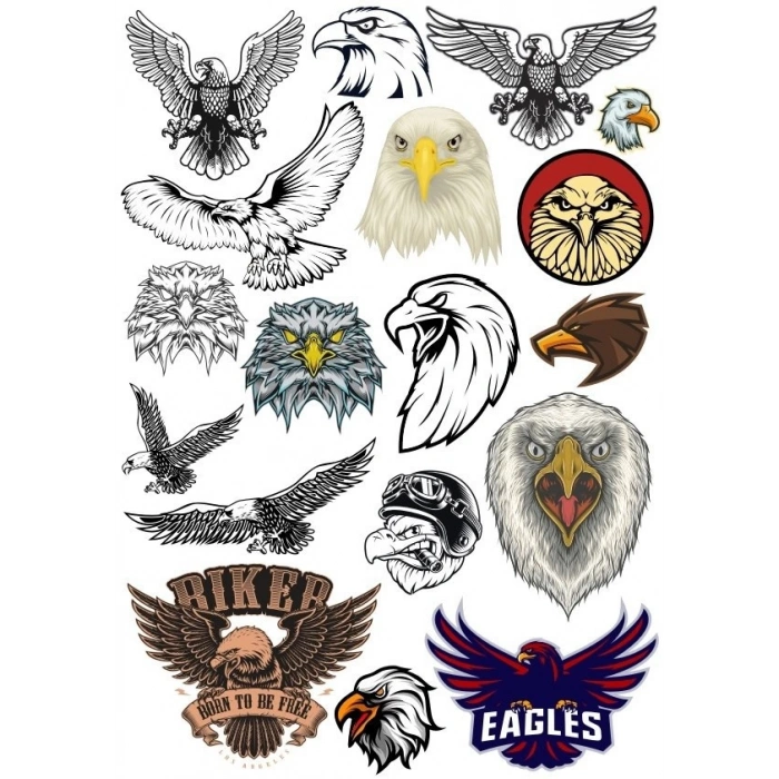 Kartal Sticker Set 5 20 Parça Telefon, Tablet, Defter, Laptop Sticker