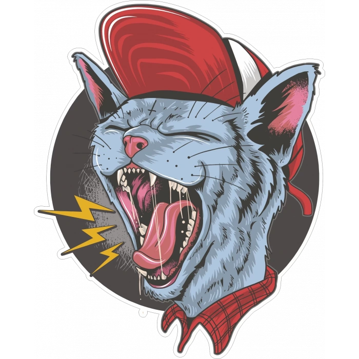 Kedi Sticker 10x10 cmRenkli Sticker