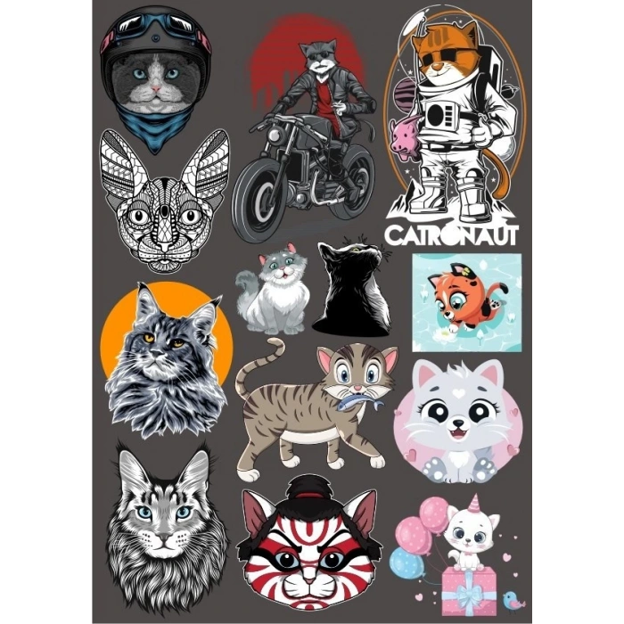 Kediler Sticker Set-16 16 Parça Telefon, Tablet, Defter, Laptop Sticker