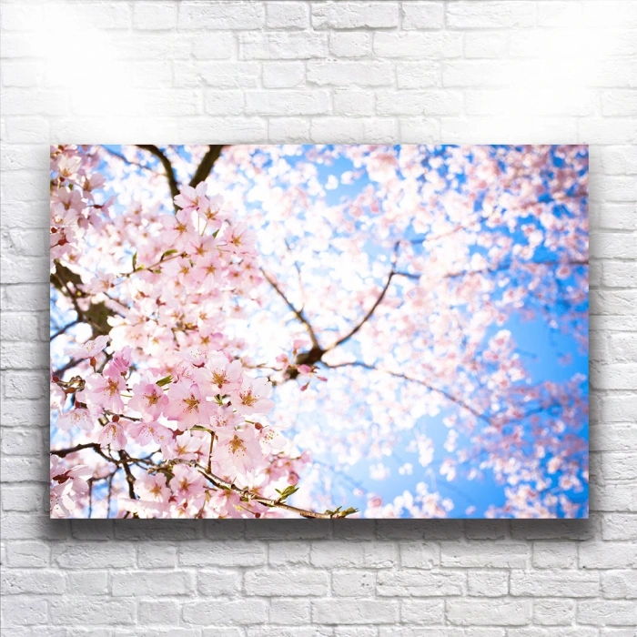 Kiraz Ağacı Kanvas