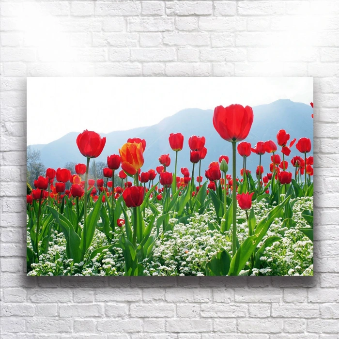 Kırmızı Laleler Kanvas