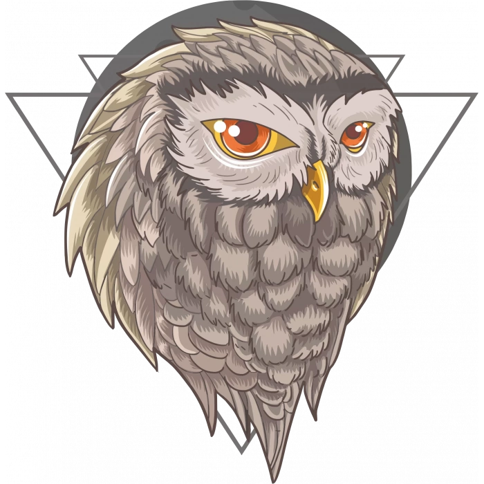 Baykuş Sticker 10x10 cmRenkli Sticker