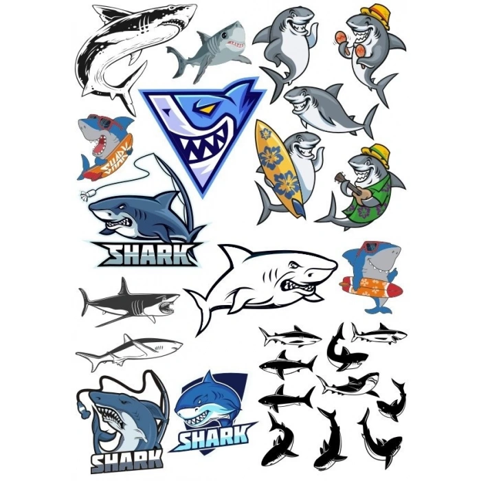 Köpek Balığı Sticker Set 21 Parça Telefon, Tablet, Defter, Laptop Sticker