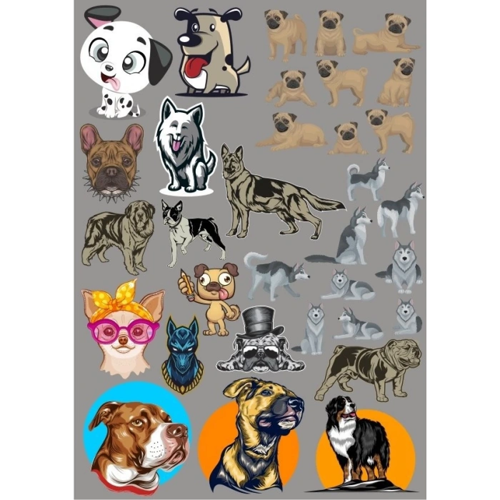 Köpekler Sticker Set-16 19 Parça Telefon, Tablet, Defter, Laptop Sticker