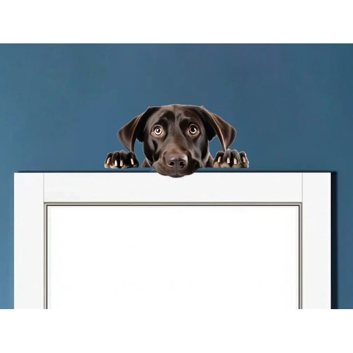 Koyu Kahverengi Labrador Köpek Duvar Stickerı