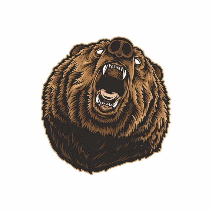 Kükreyen Ayı Sticker 2 10x10 cmRenkli Sticker