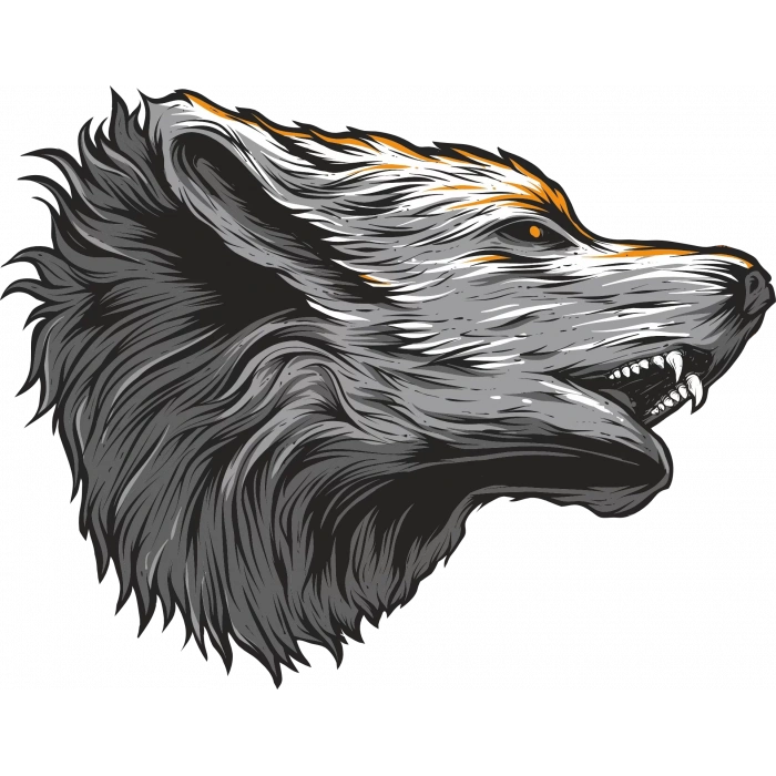 Kurt Sticker 10x10 cmRenkli Sticker