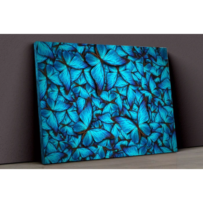 Mavi Kelebekler Kavas