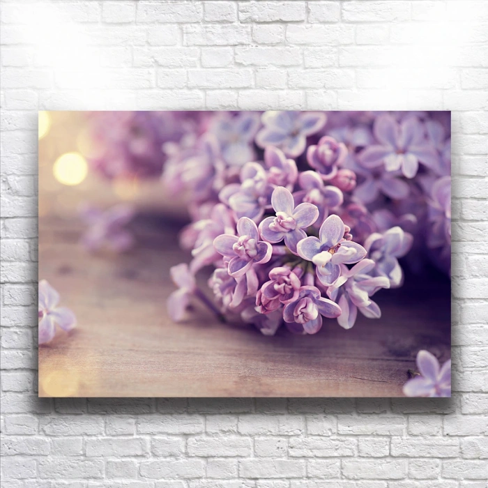 Mor Çiçekler Kanvas