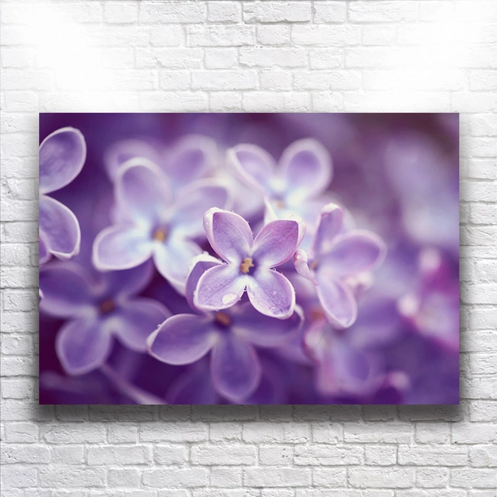 Mor Çiçekler Kanvas