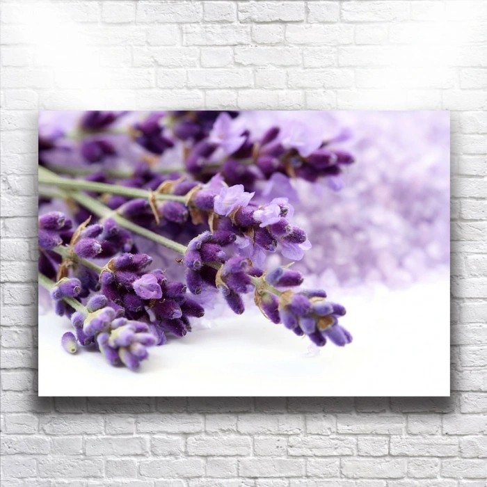 Mor Lavantalar Kanvas