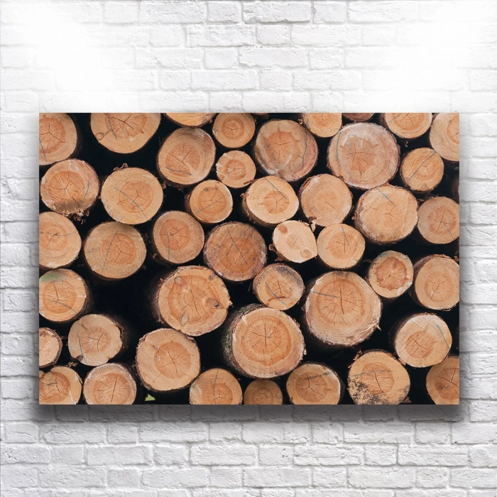 Odunlar Kanvas