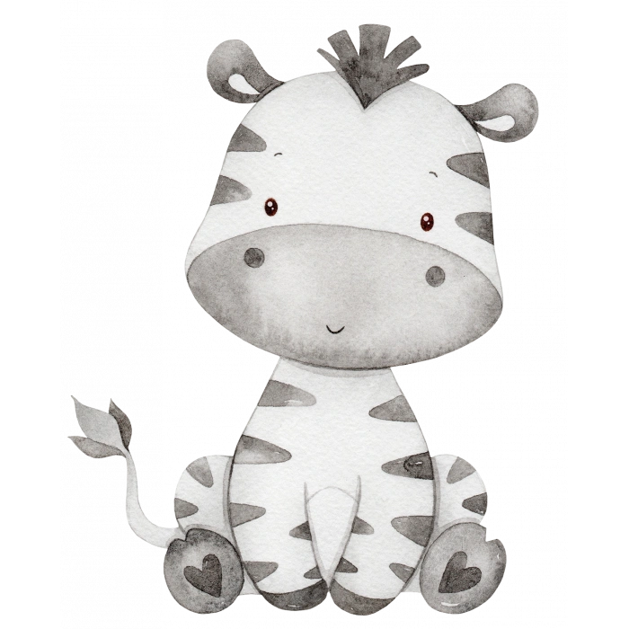 Oturan Zebra Duvar Stickerı