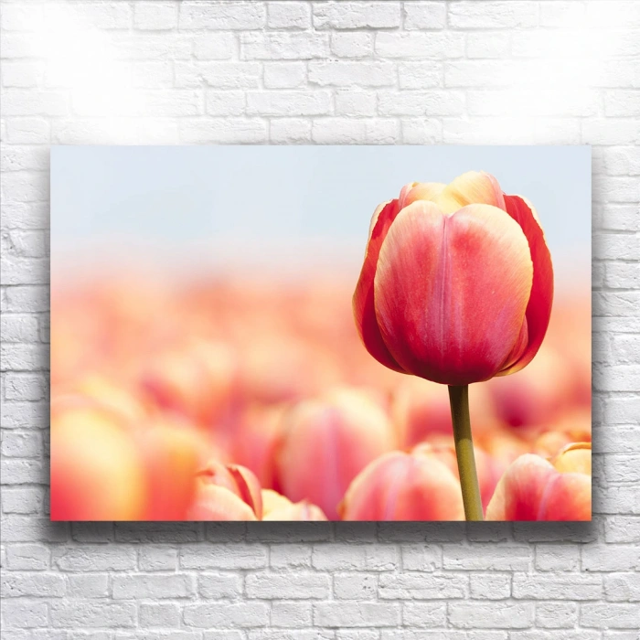 Pembe Çiçekler Kanvas