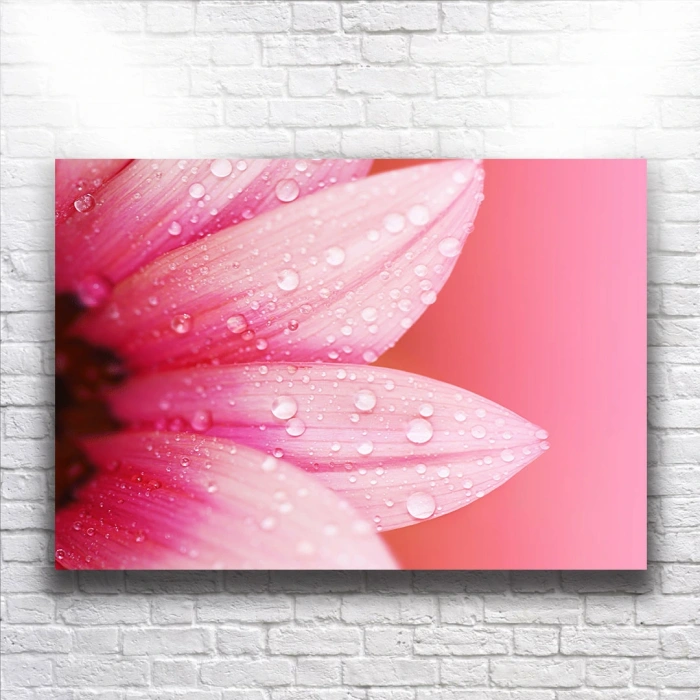 Pembe Çiçekler Kanvas