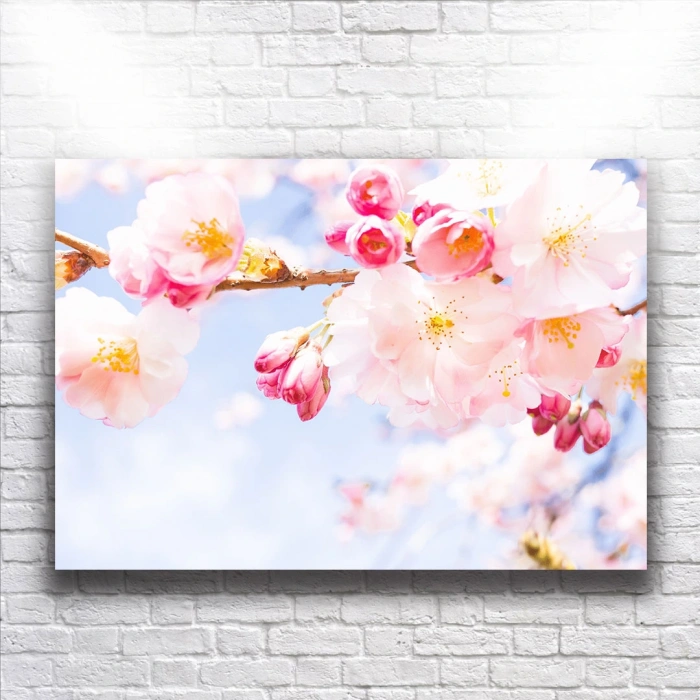 Pembe Çiçekler Kanvas