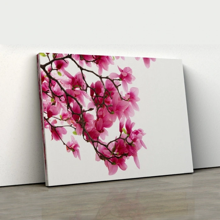 Pembe Manolya Dalları Kanvas Tablo