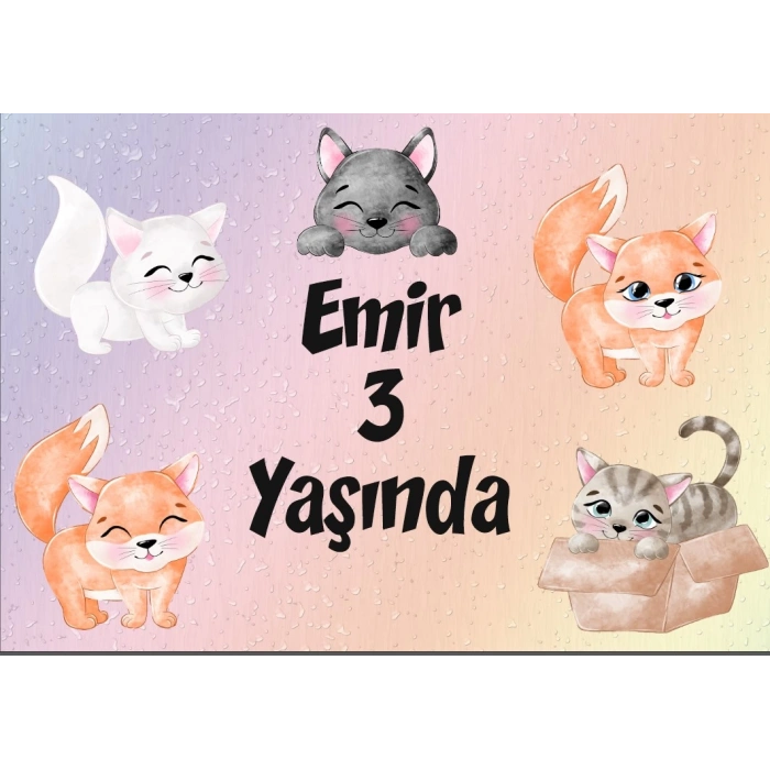 Kedi Teamlı Doğum Günü Afişi 70X100 cm