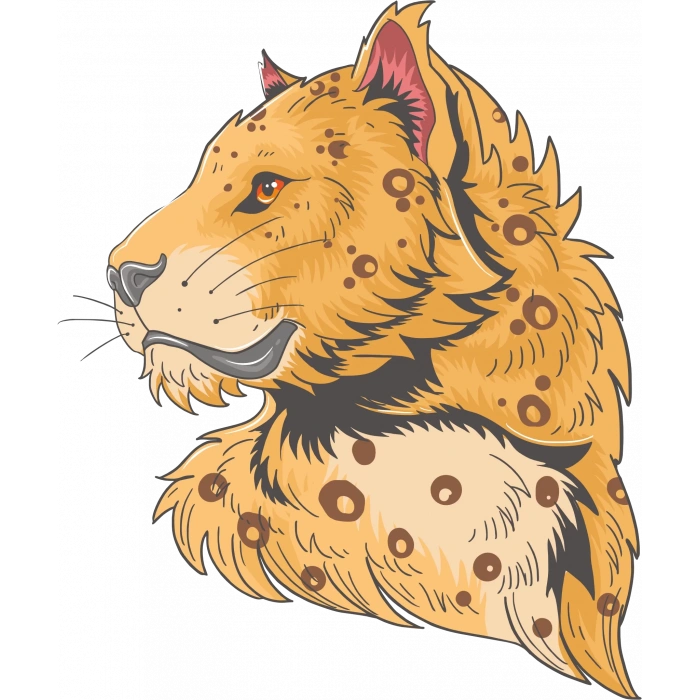 Desenli Aslan Sticker 10x10 cmRenkli Sticker