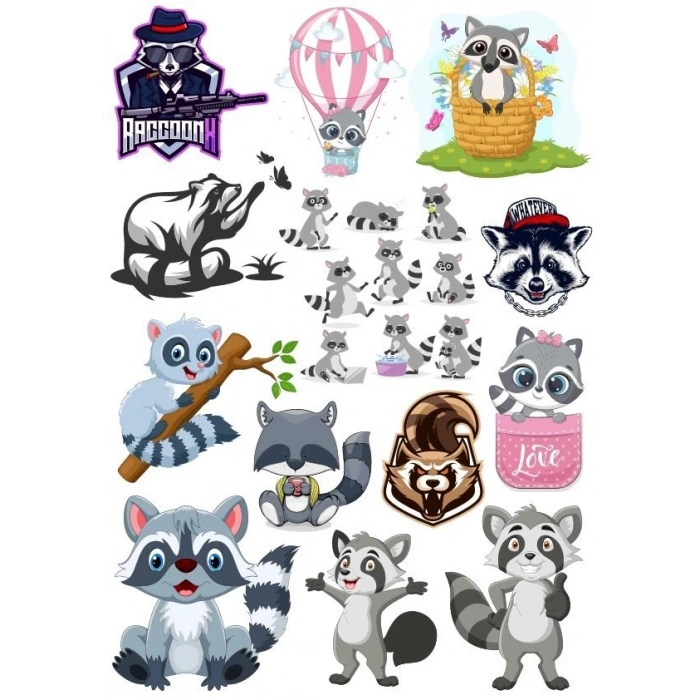 Racun Sticker Set-3 17 Parça Telefon, Tablet, Defter, Laptop Sticker