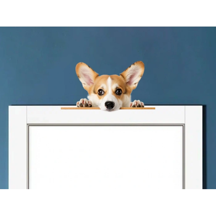 Rottweiler Yavrusu Duvar Stickerı