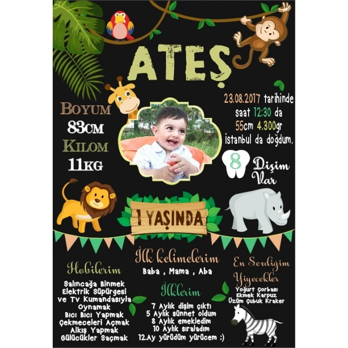 Safari Temalı Yaş Panosu
