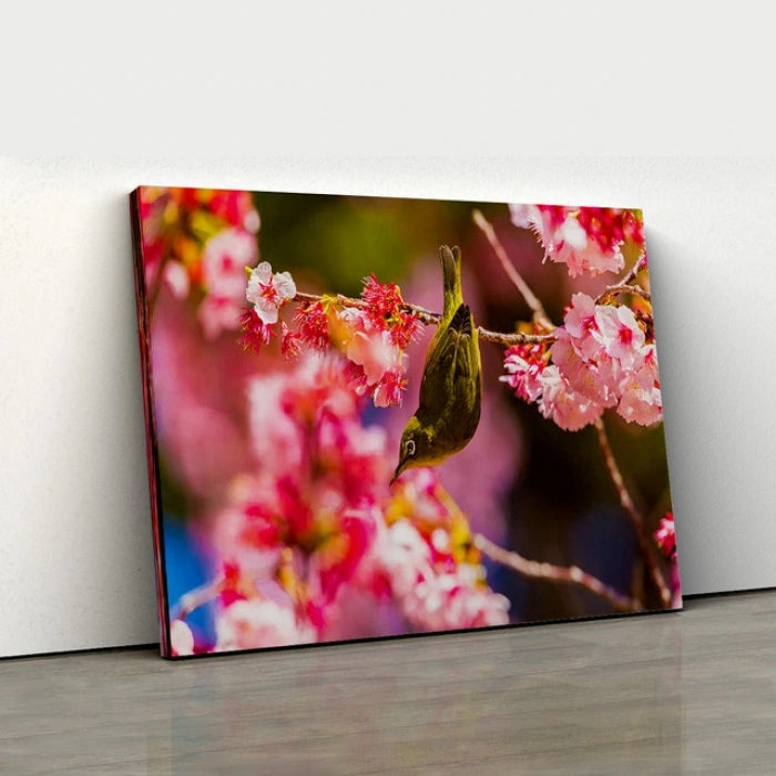 Sakura Dalında Kuş Kanvas Tablo