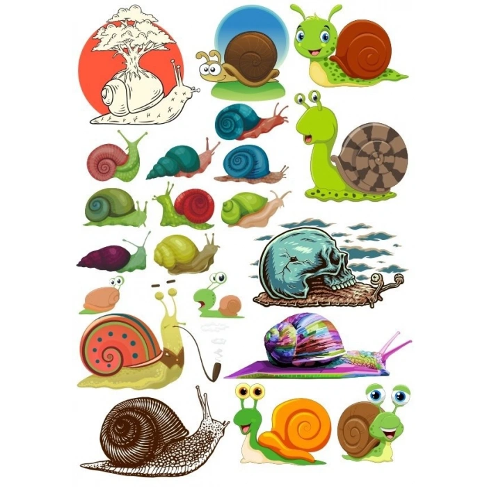 Salyangoz Sticker Set 5 20 Parça Telefon, Tablet, Defter, Laptop Sticker