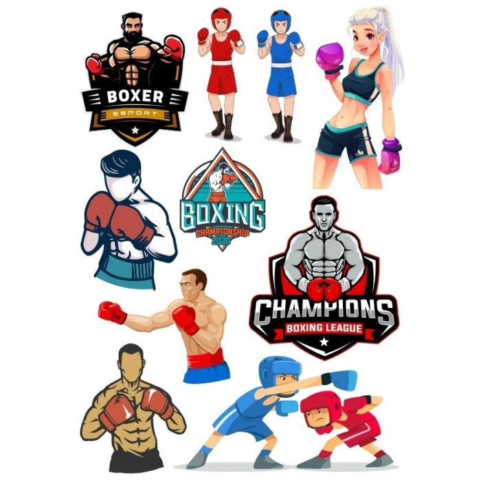 Şampiyon Box Sticker Set 10 Parça Telefon, Tablet, Defter, Laptop Sticker