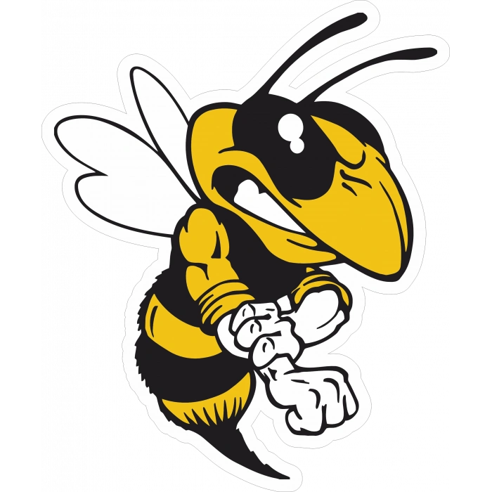 Kızgın Arı Sticker 10x10 cmRenkli Sticker