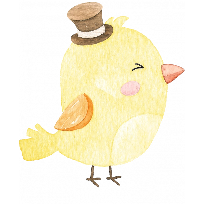 Şapkalı Kuş Duvar Stickerı